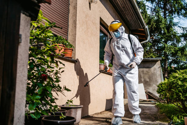 Best Pest Removal Services  in Farwell, TX