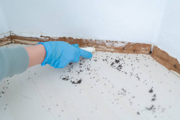 Best Affordable Pest Control Services  in Farwell, TX
