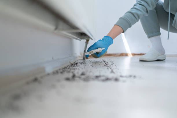 Farwell, TX Pest Control Company